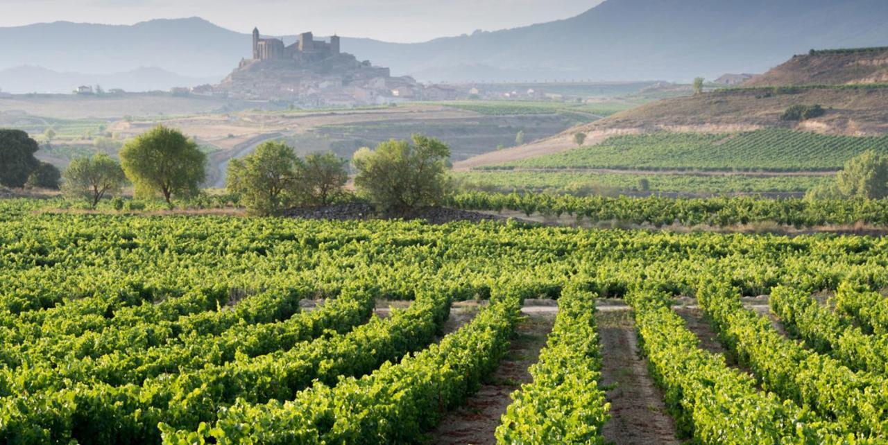 Apartamento Haro Wine Experience Dış mekan fotoğraf